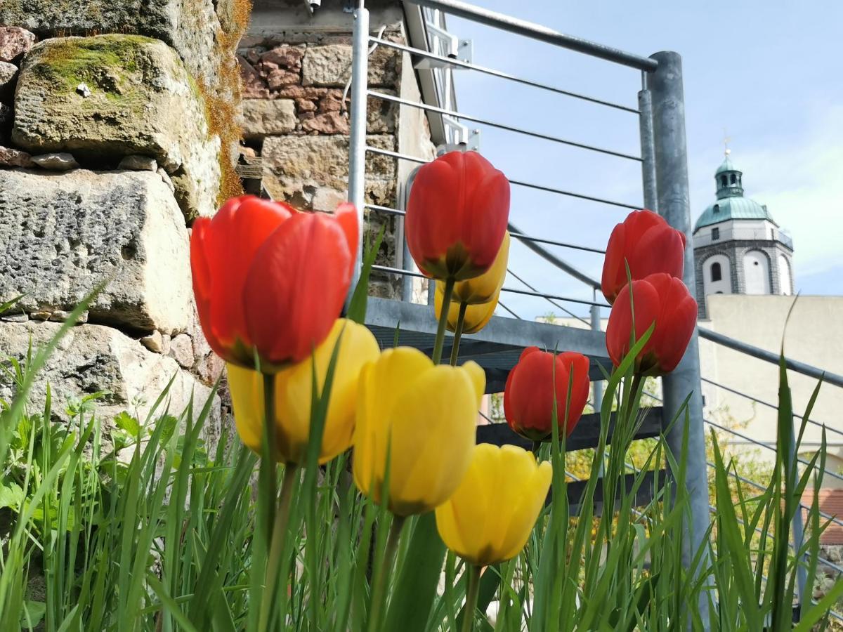 Fynbos Studio Dg In Der Altstadt, Frauenkirchenblick, Parkplatz Meissen Bagian luar foto