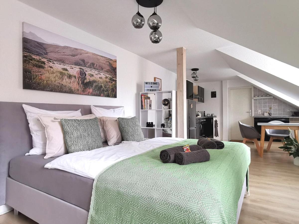 Fynbos Studio Dg In Der Altstadt, Frauenkirchenblick, Parkplatz Meissen Bagian luar foto