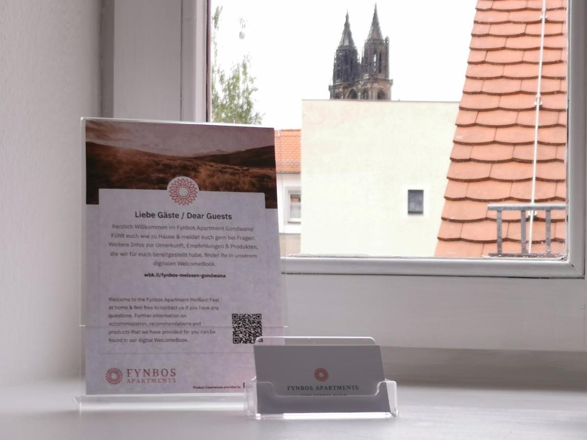 Fynbos Studio Dg In Der Altstadt, Frauenkirchenblick, Parkplatz Meissen Bagian luar foto