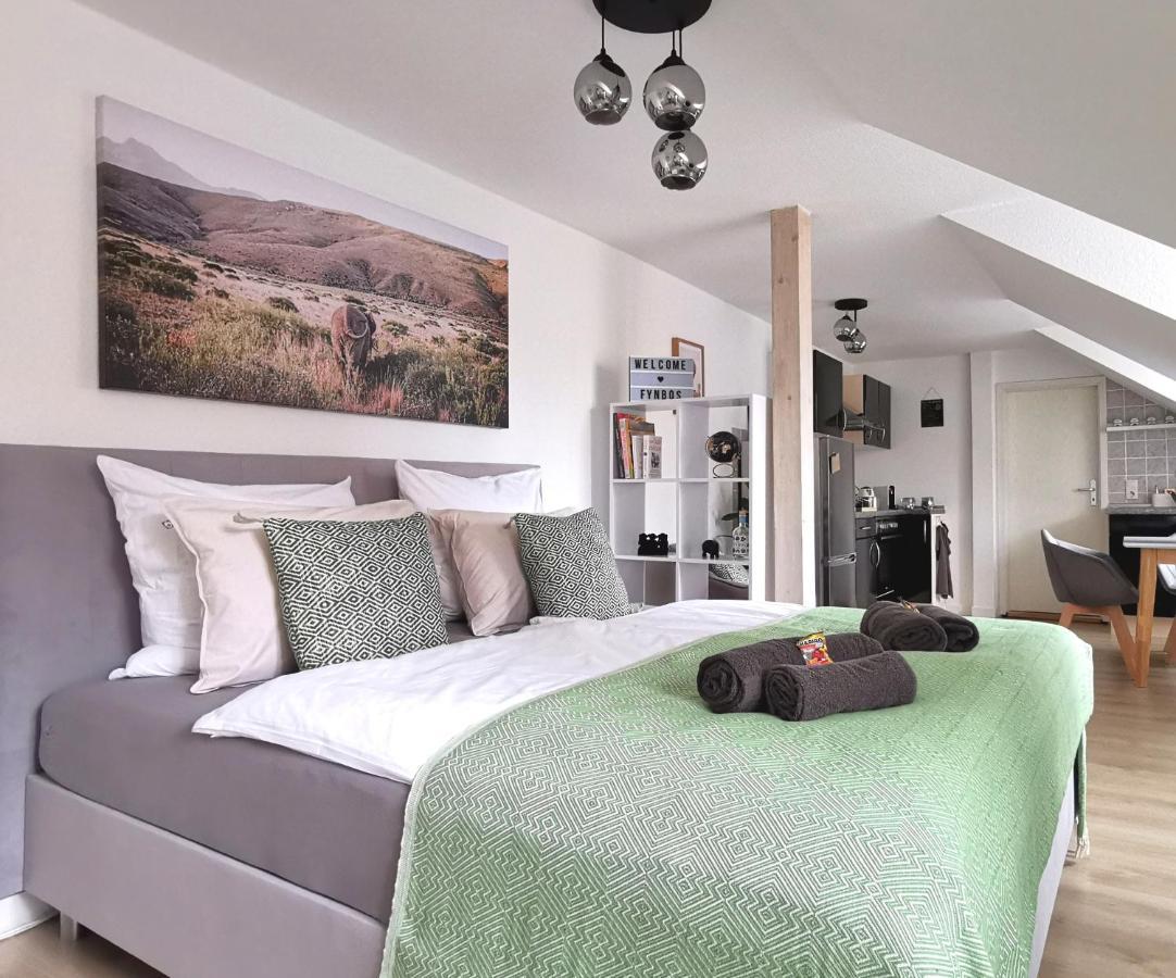 Fynbos Studio Dg In Der Altstadt, Frauenkirchenblick, Parkplatz Meissen Bagian luar foto